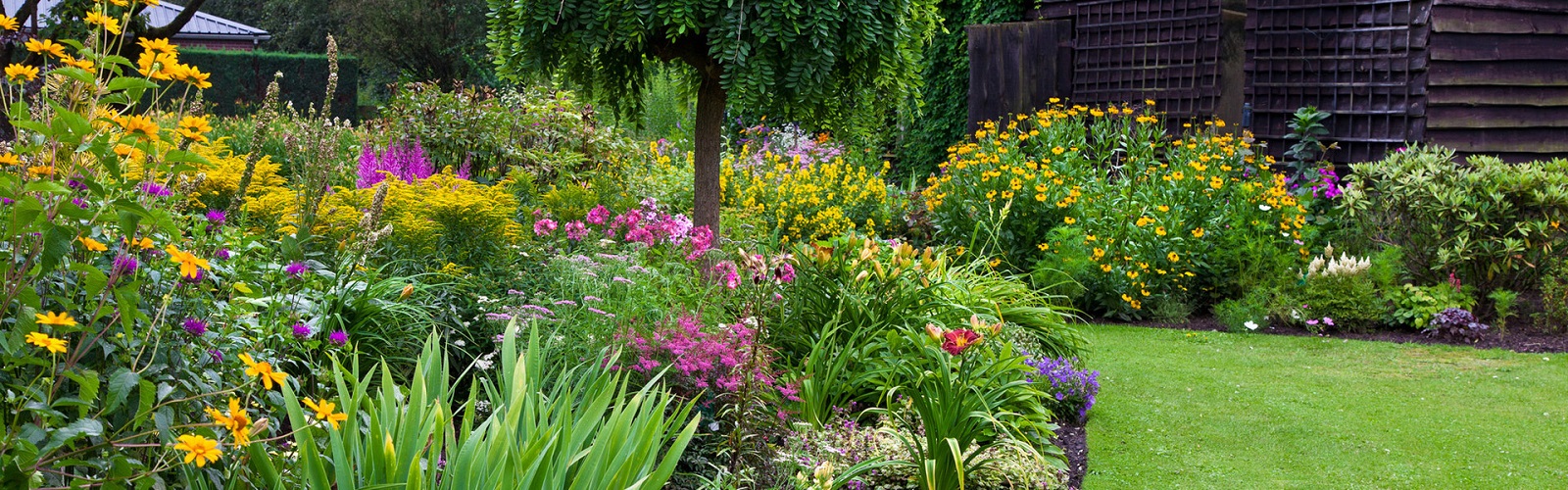 John Gustar Landscapes